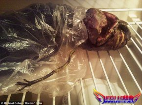俄罗斯现“外星人”尸体 被藏冰箱中2年(图)