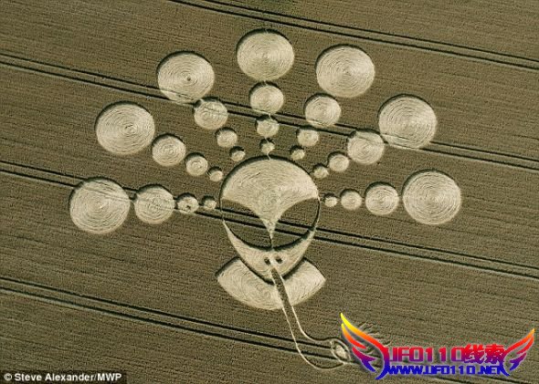 英格兰威尔特郡彻希尔附近出现的这个200英尺（60.96米）长的麦田怪圈可能是用微波制成的