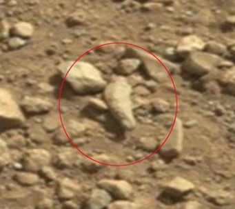 ufo研究者探索发现类手指等多种岩石（组图）