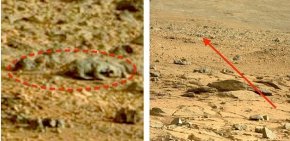 蜥蜴漫步火星震惊全球