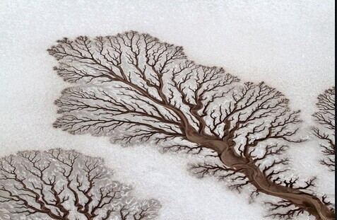 美丽的地球地貌大树----惊叹大自然的神力 - 石庸 - god_image的博客
