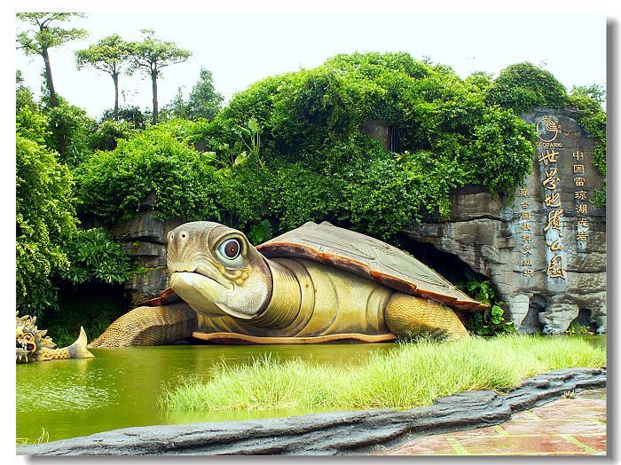 湛江湖光岩乌龟